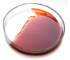 Oil Analysis Tests
